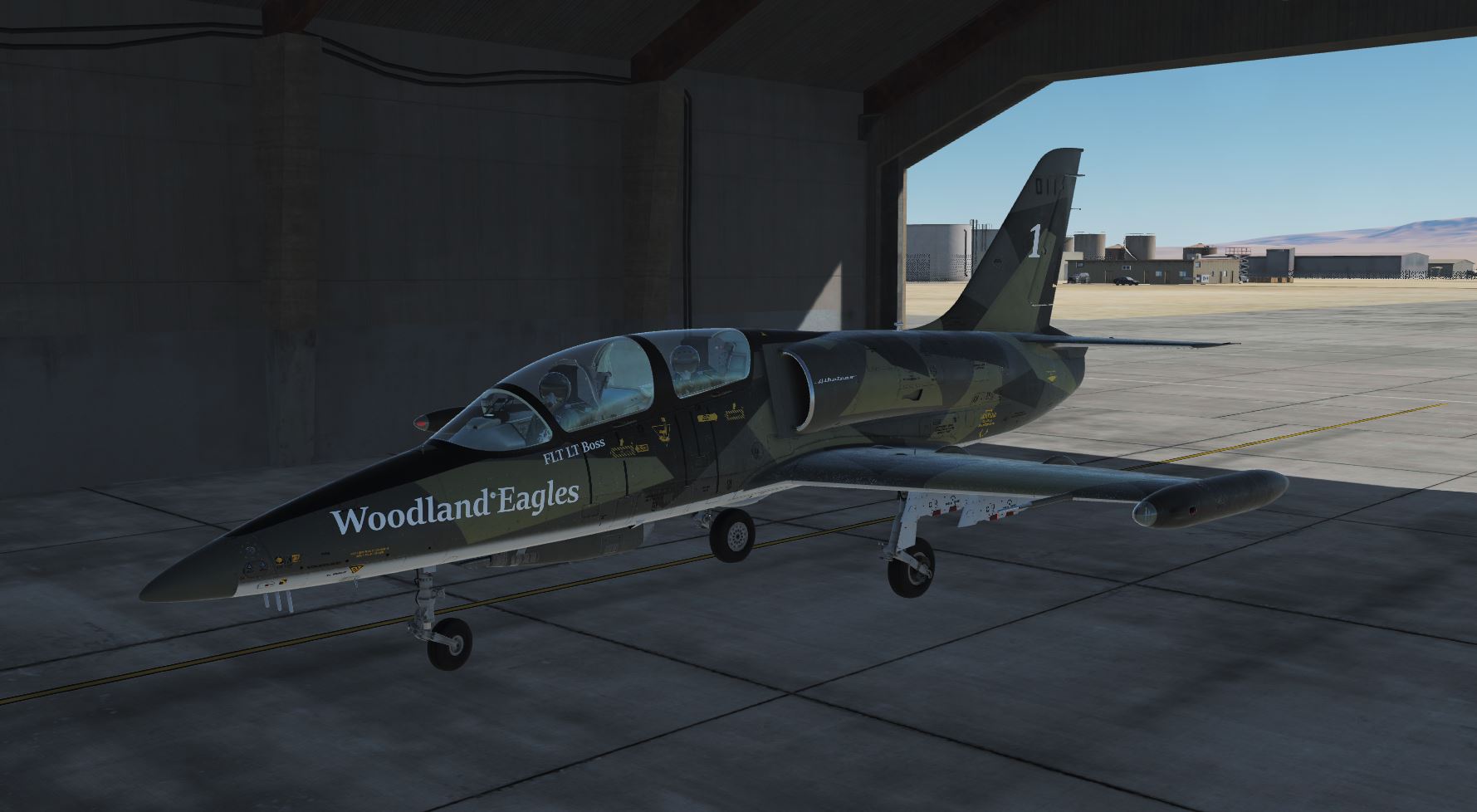 Virtual Woodland Eagle 1