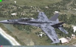 F18C_Camo Digital