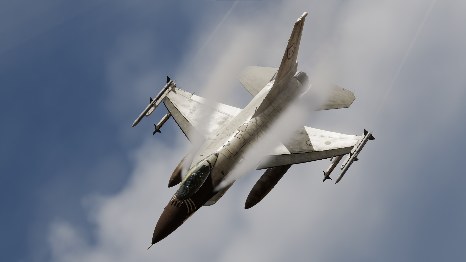 F-16C Angy Catto