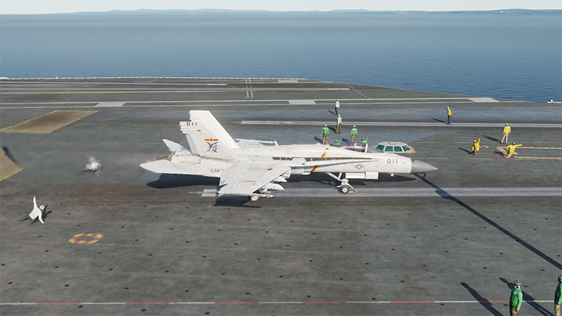 F/A-18C PLAN Flying Shark (Fictional) 