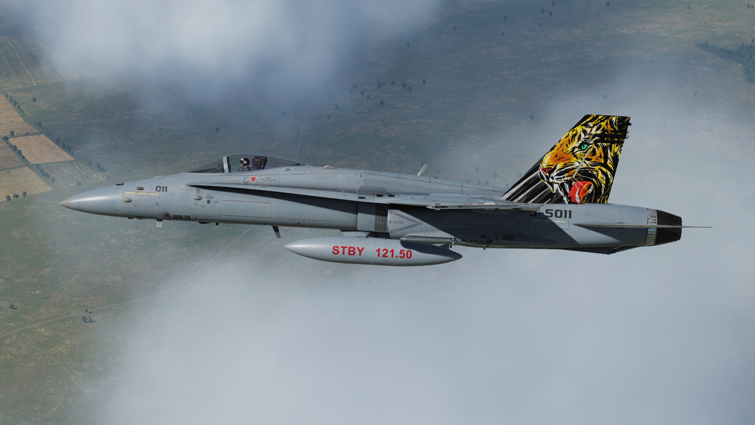 FA-18C  ATLAS / FLIEGERSTAFFEL 11 / TIGER