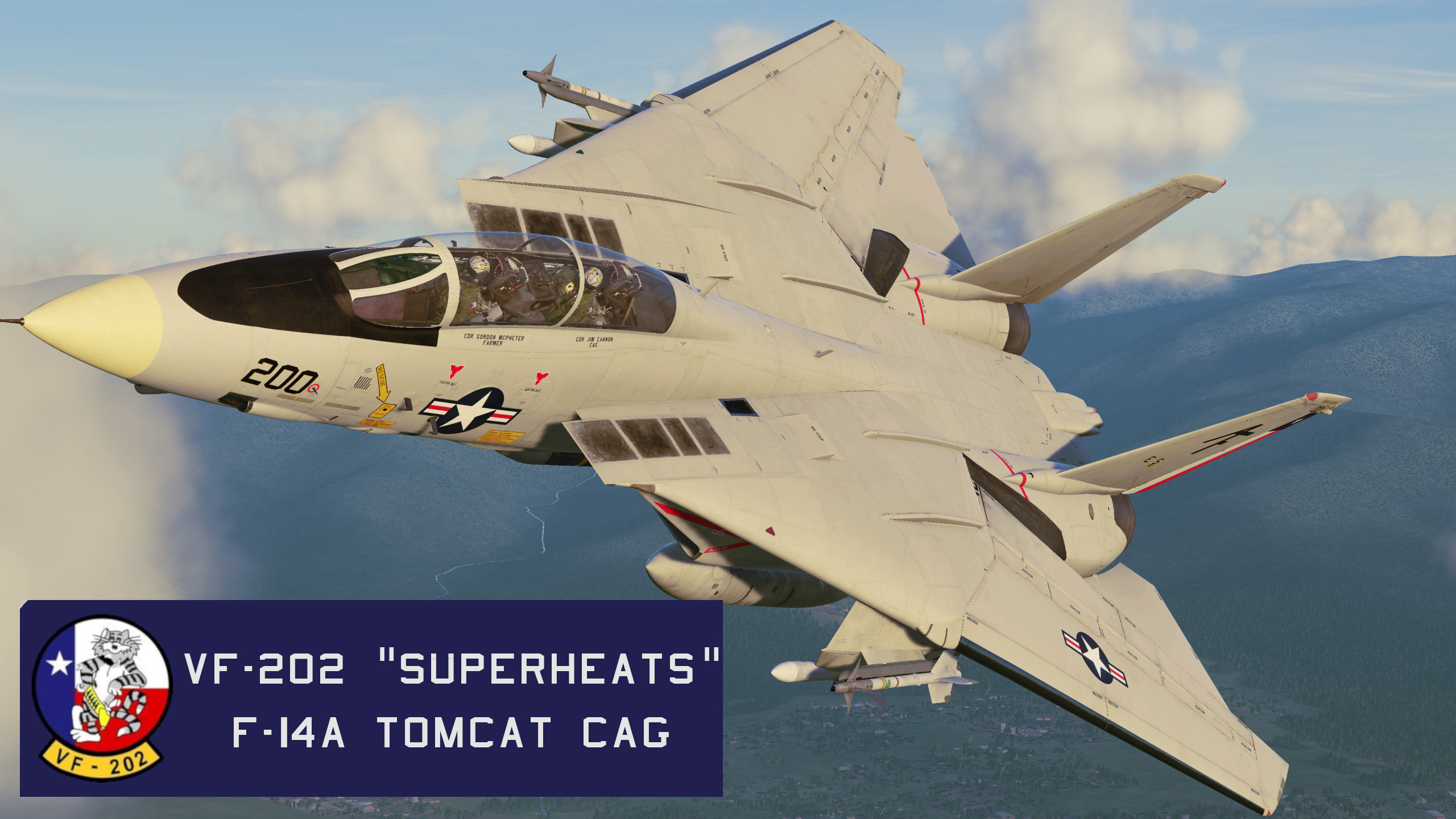 VF-202 "SUPERHEATS" #200 CAG (F-14A)