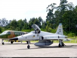 NORTHROP F-5E TIGER II FAB 4866 1º/14ºGAV BACO