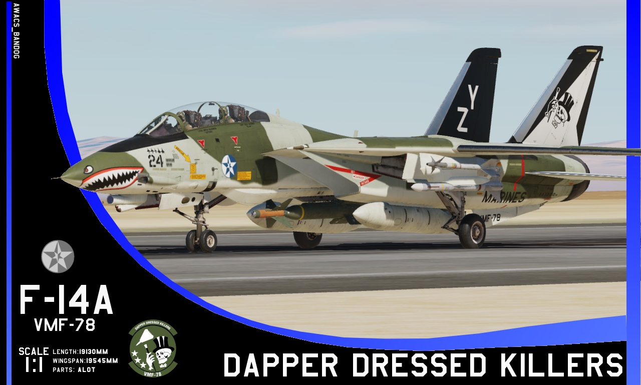 Ace Combat - VMF-78 "Dapper Dressed Killers" F-14A Tomcat