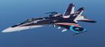 RAAF Hornet 20th Anniversary