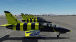L-39C Baltic Bees Jet Team