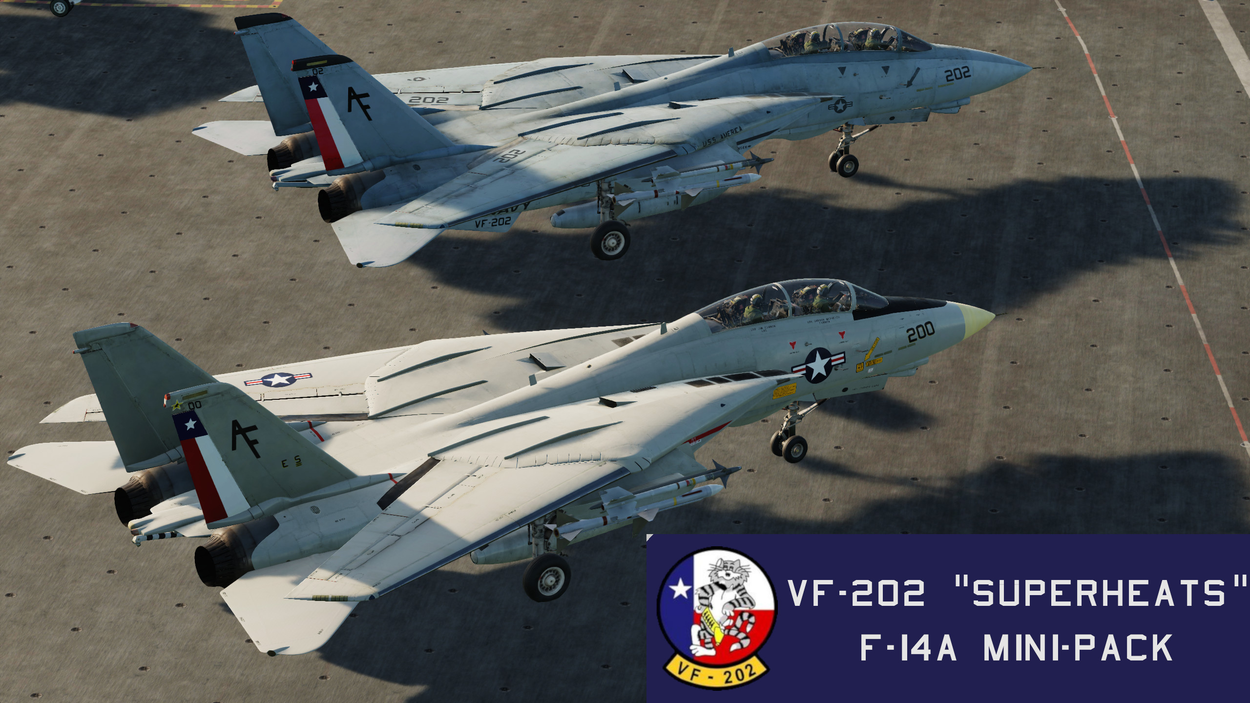 VF-202 "SUPERHEATS" F-14A Mini-Pack