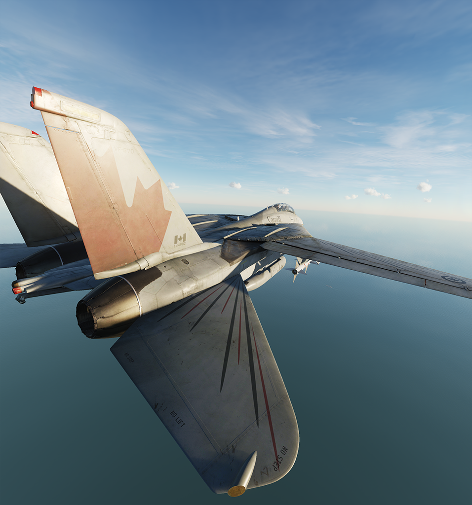 VF-870 CanaCat (Fictional)