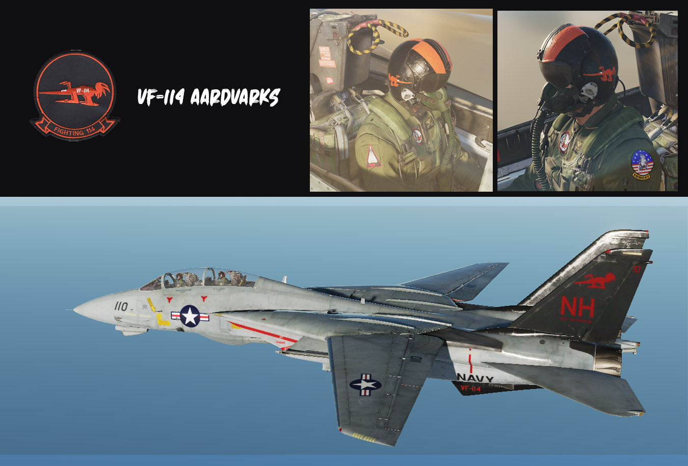 VF-114 Aardvarks (black tail)