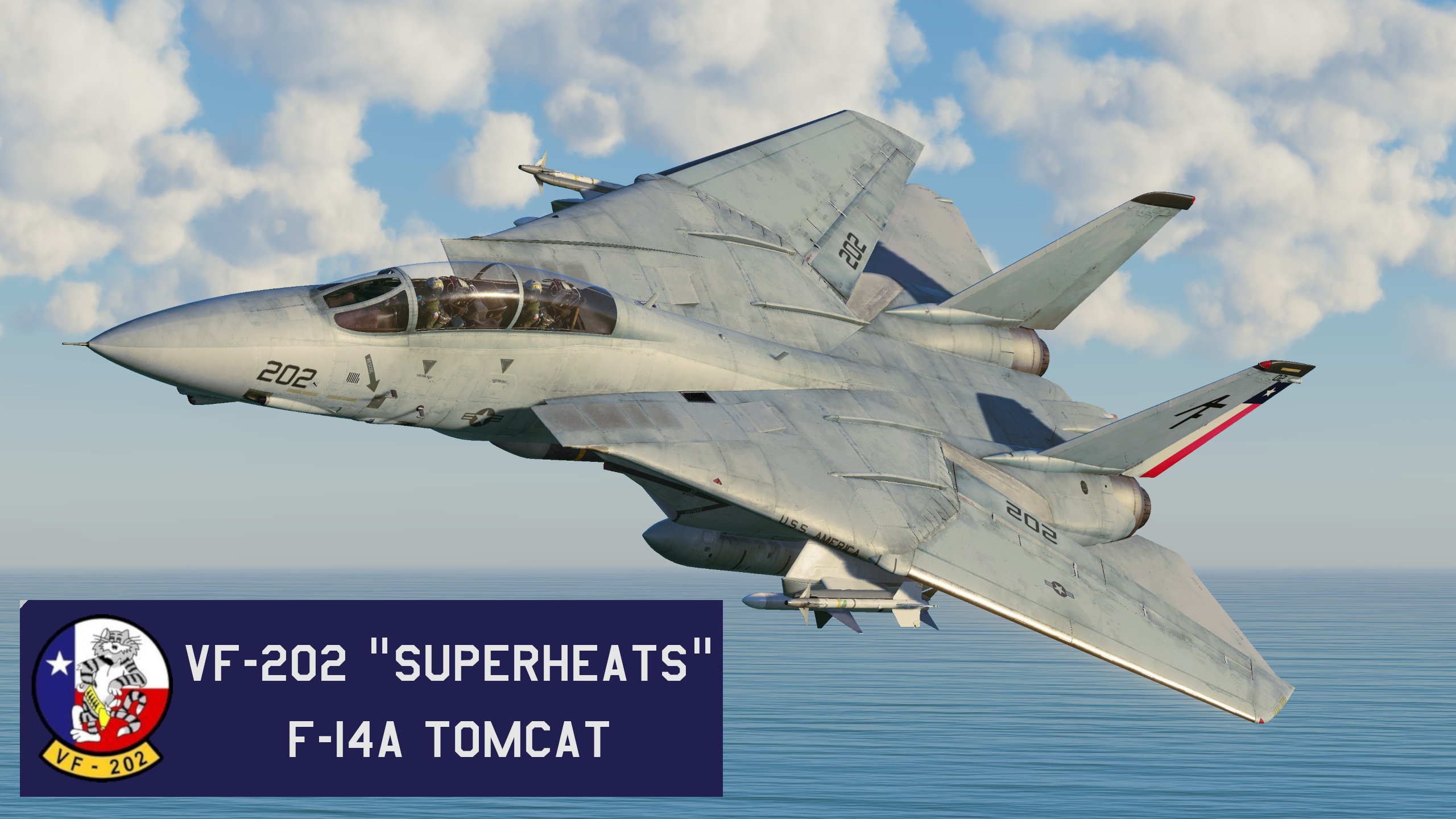 VF-202 "SUPERHEATS" #202 (F-14A)