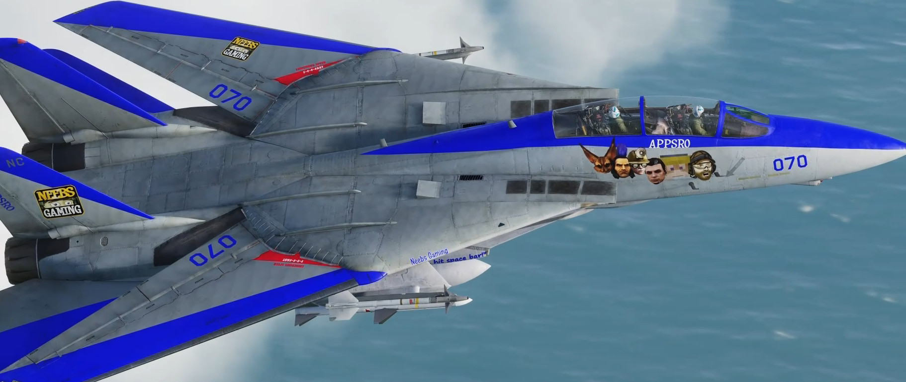 Neebs Gaming Appsro F-14B 