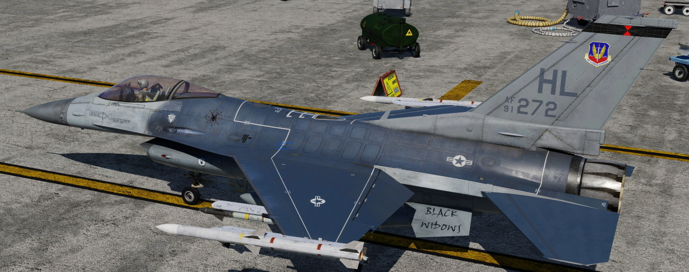 USAF 421st Black Widows BORT