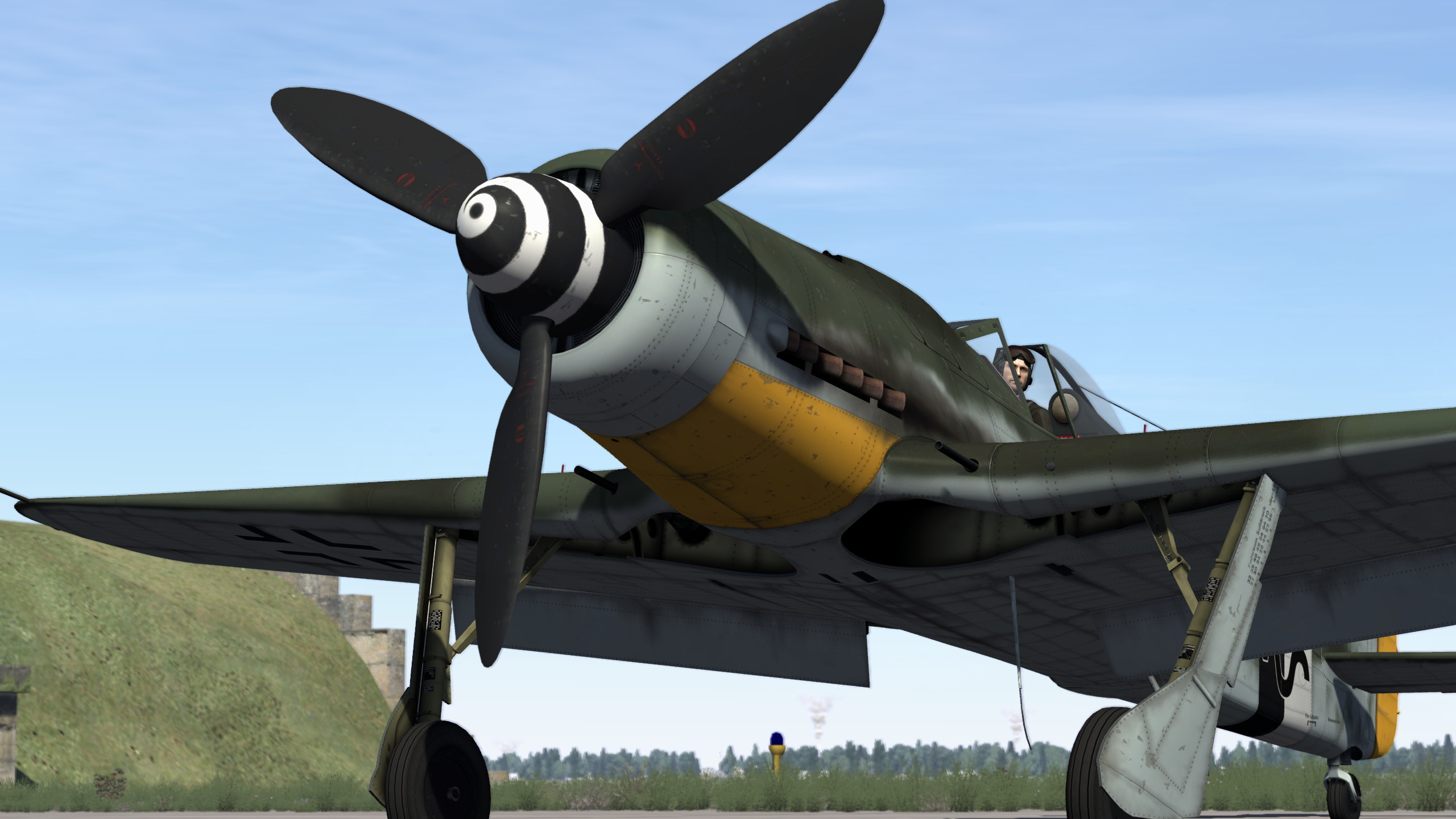 2.9 d. DCS FW-190. FW 190 Dora. FW 190d-9.