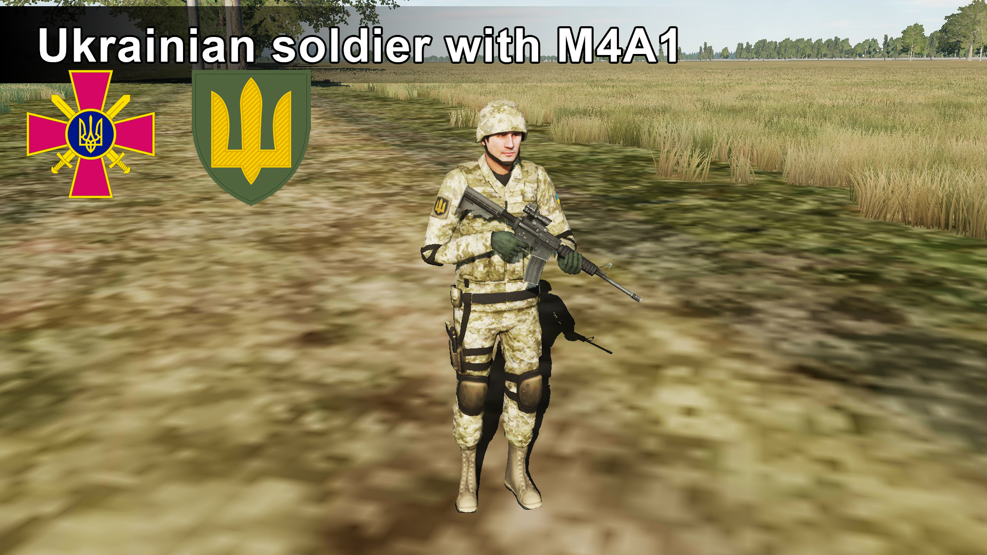 Ukrainian camo MM14. M-4 Soldier