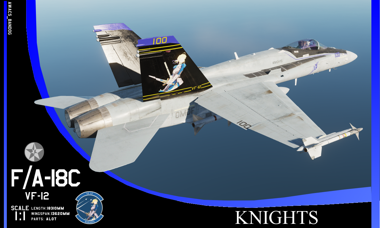 Ace Combat - VF-12 'Knights' F/A-18 Skin