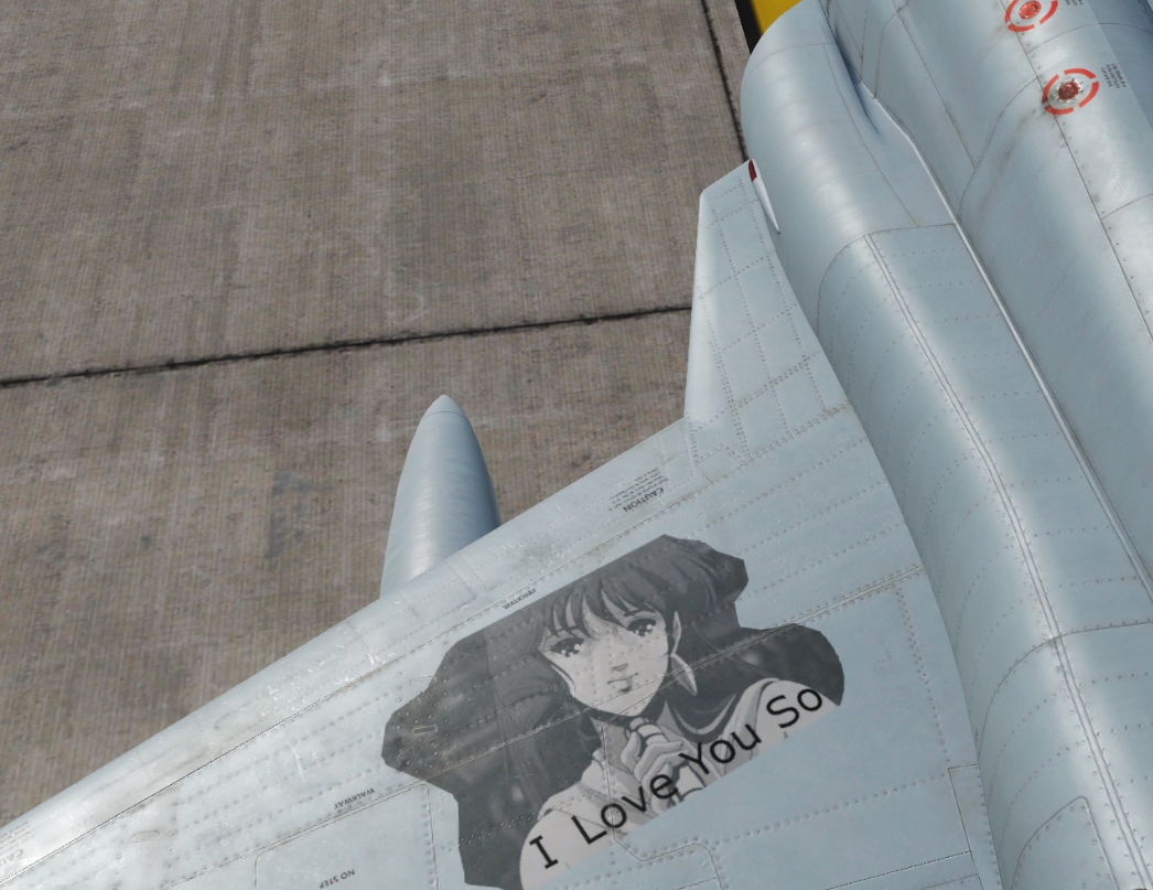 DCS F-5E Skin - MACROSS painting