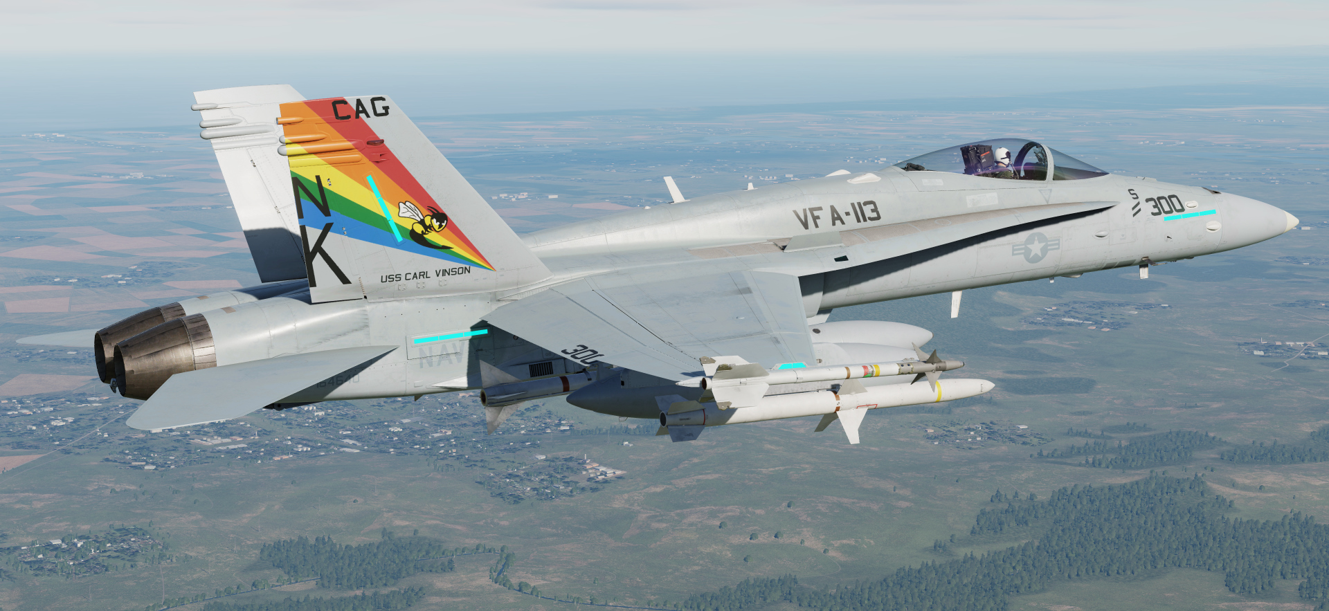 VFA-113 CAG and Line Liveries