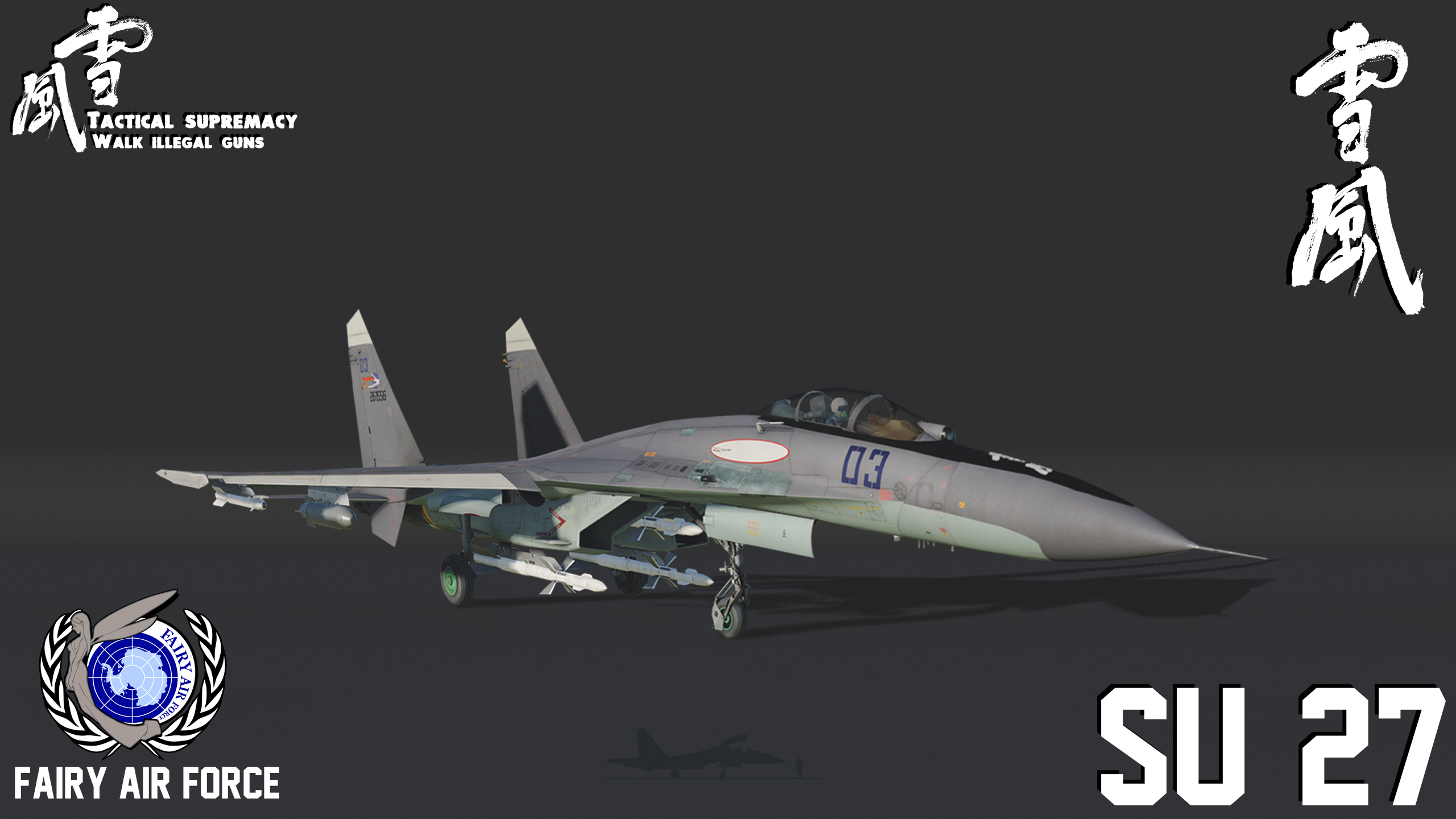 SU-27  菲雅莉空军 特殊战 503号机  “雪风” 