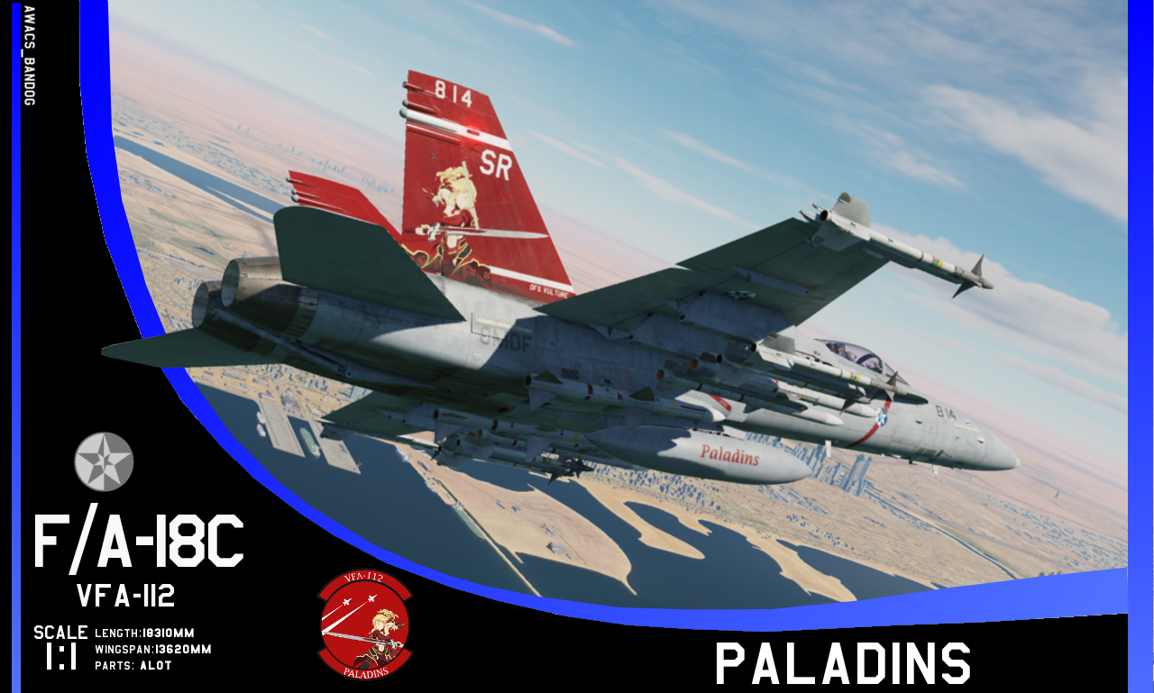 Ace Combat - VFA-112 'Paladins' 