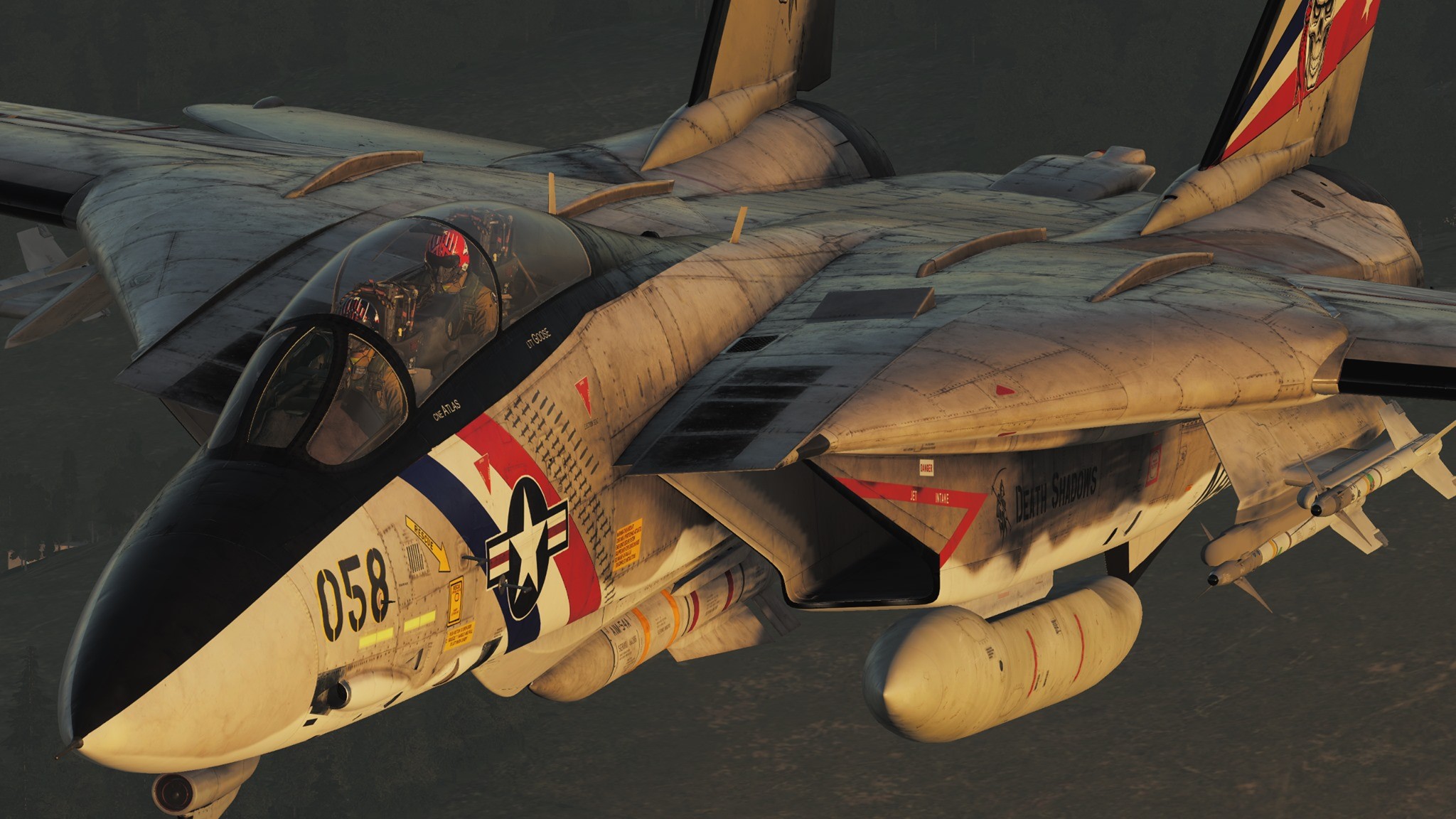 F-14 ATLAS DEATH SHADOWS  SKY PIRATE  [PART 1 SKIN]