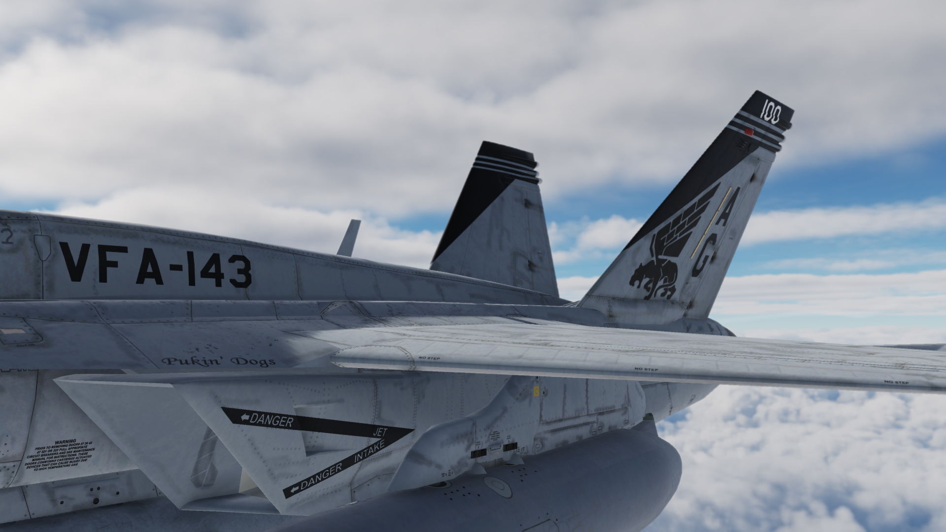 VFA-143 (Pukin' Dogs) skin for Superbug F-18E mod (v2.1)
