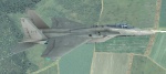 F-15C - Fictional RCAF Low Visibility Skin v2