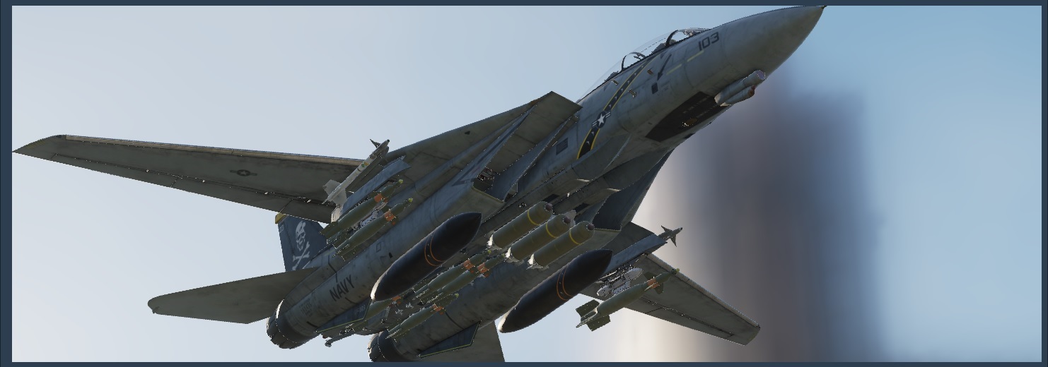 F-14 Expanded Weapons