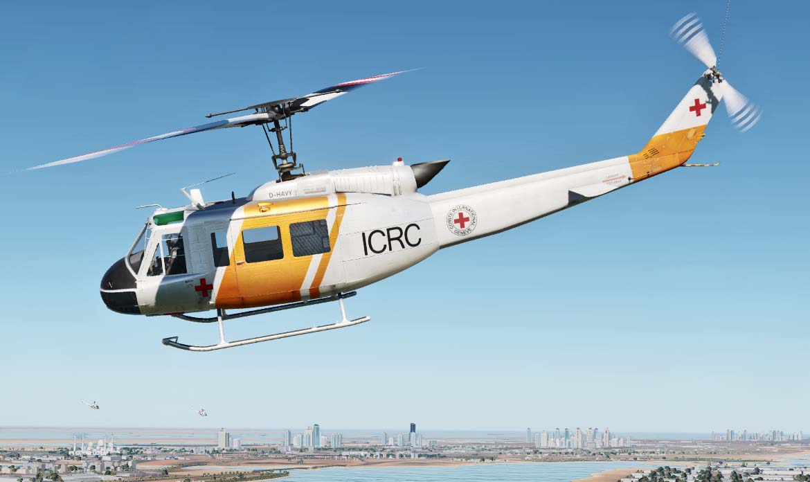 International Committee of the Red Cross - 2