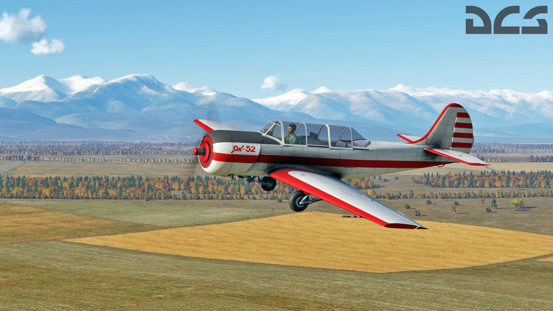 DCS-Yak-52-WIP-02.jpg