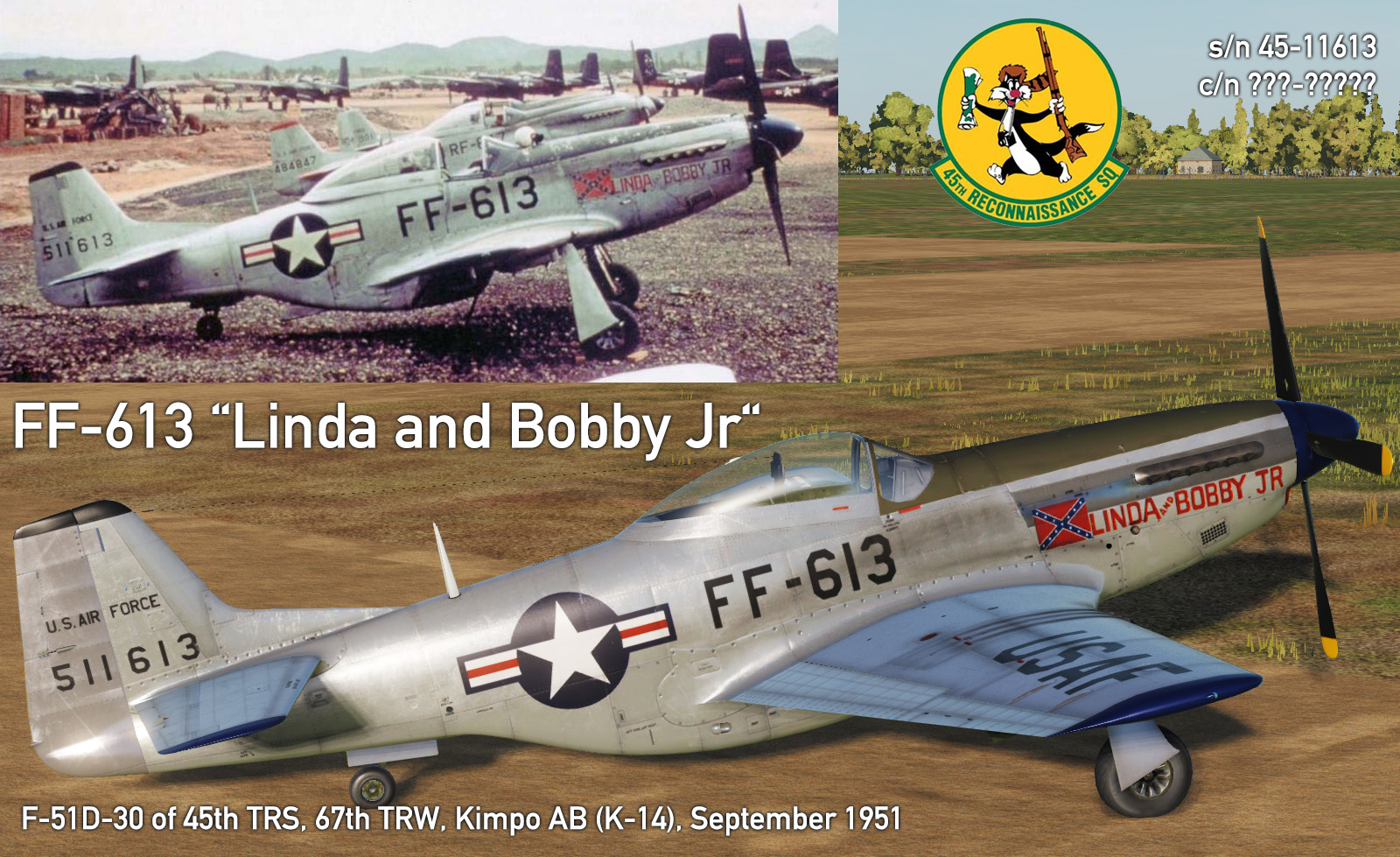 P-51D / TF-51D Linda and Bobby Jr, Korea, 1951 v9