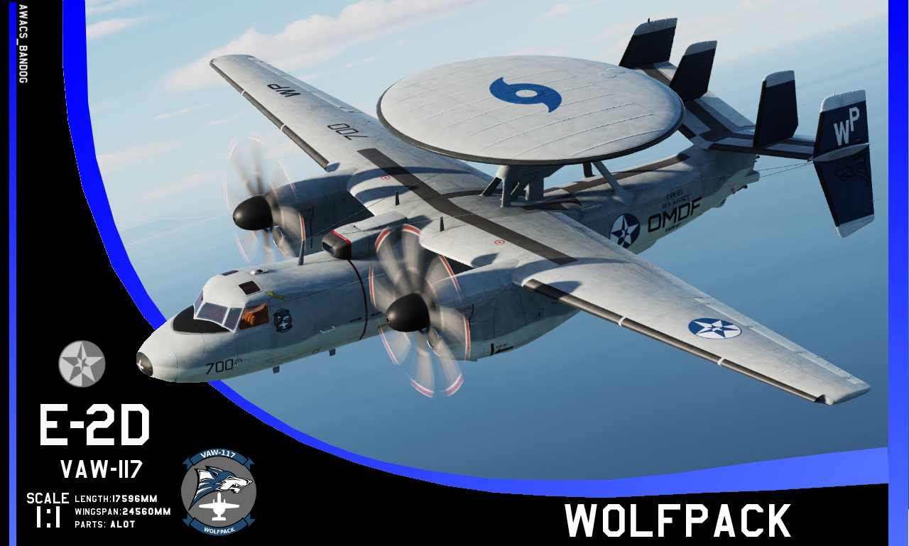 Ace Combat - Carrier Airborne Early Warning Squadron 117