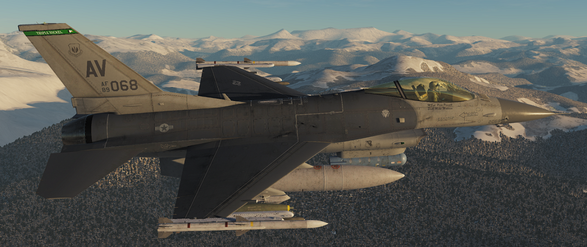 555th FS "AV" Aviano AB  (V0.98)