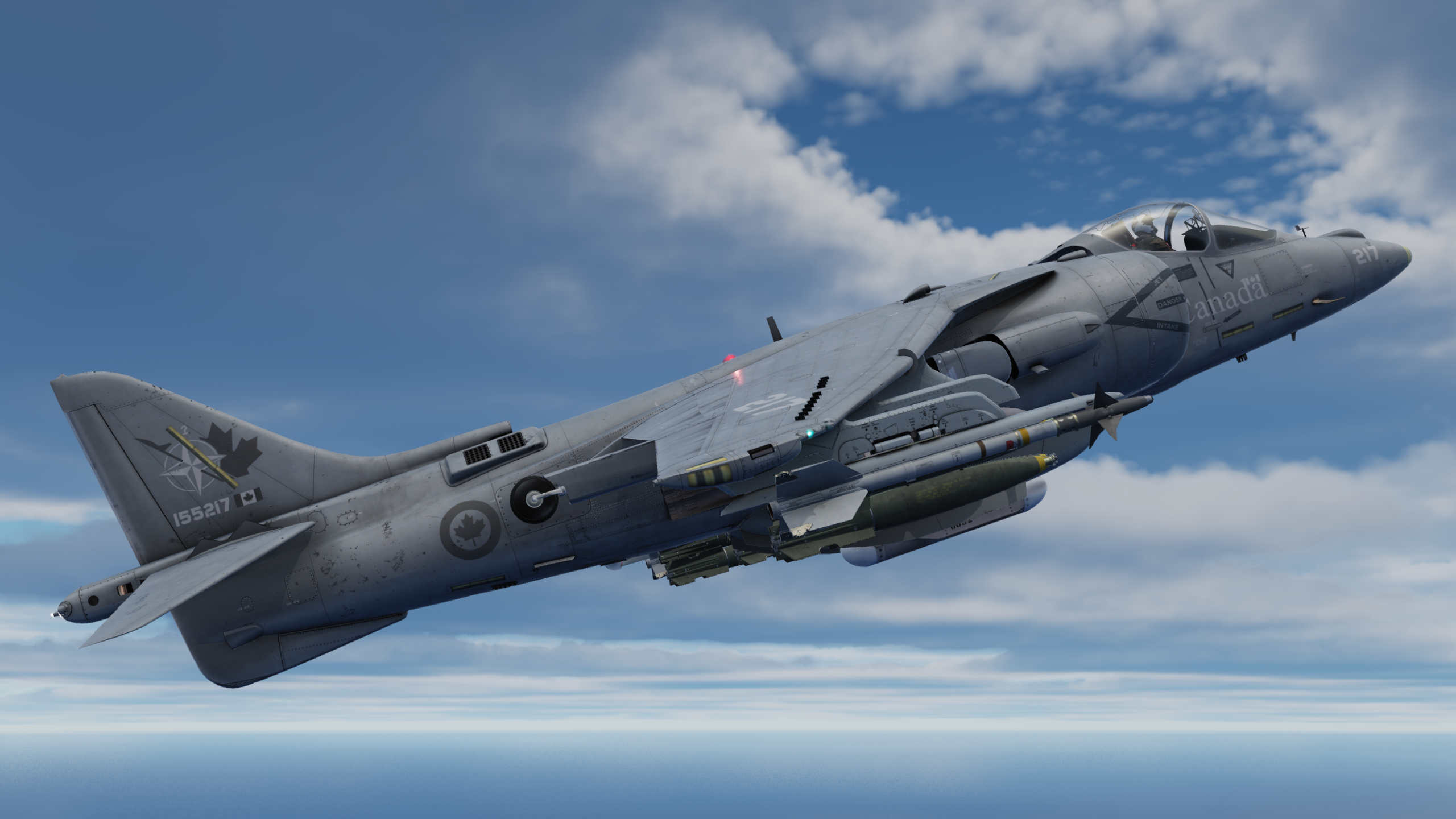 NFTC Harrier_low viz