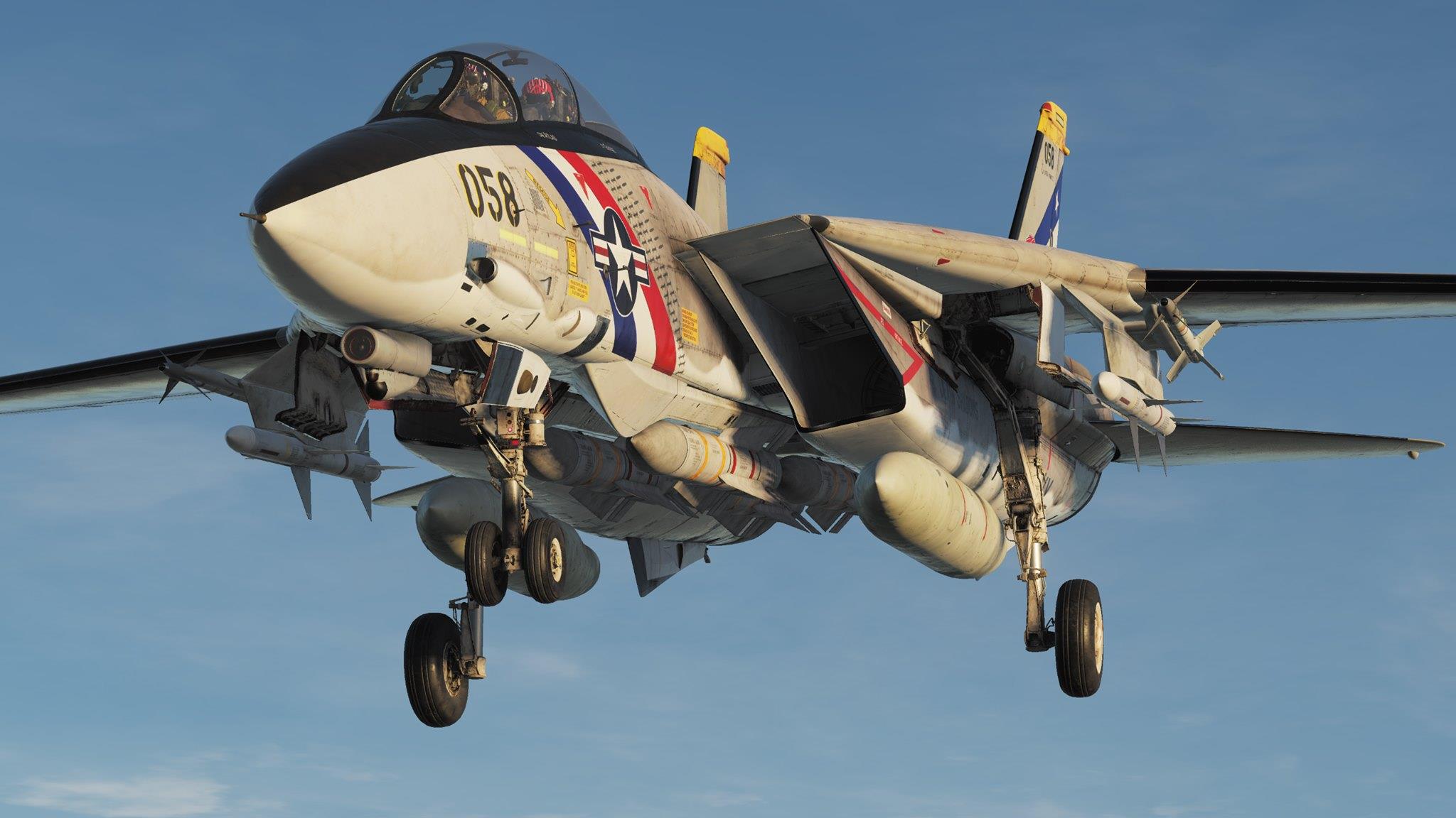 F-14 ATLAS DEATH SHADOWS SKY PIRATE [PART 2 SKIN]