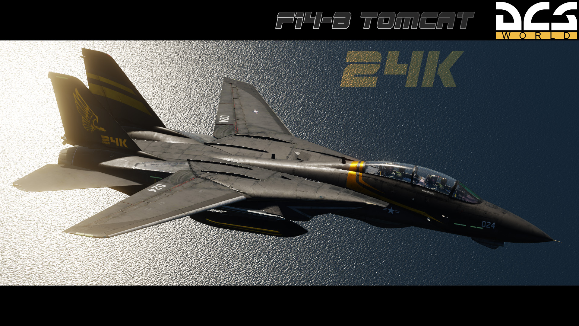 F-14B 24k