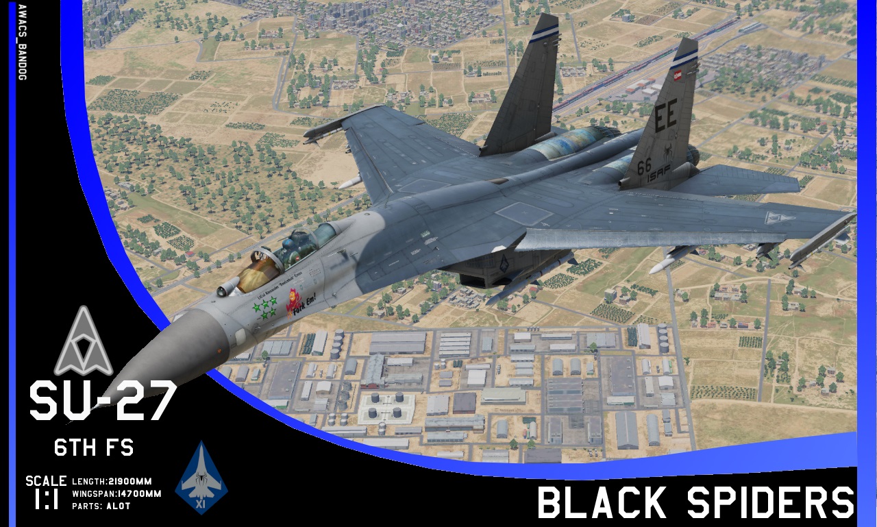 Ace Combat - ISAF 6th Fighter Squadron "Black Spiders"