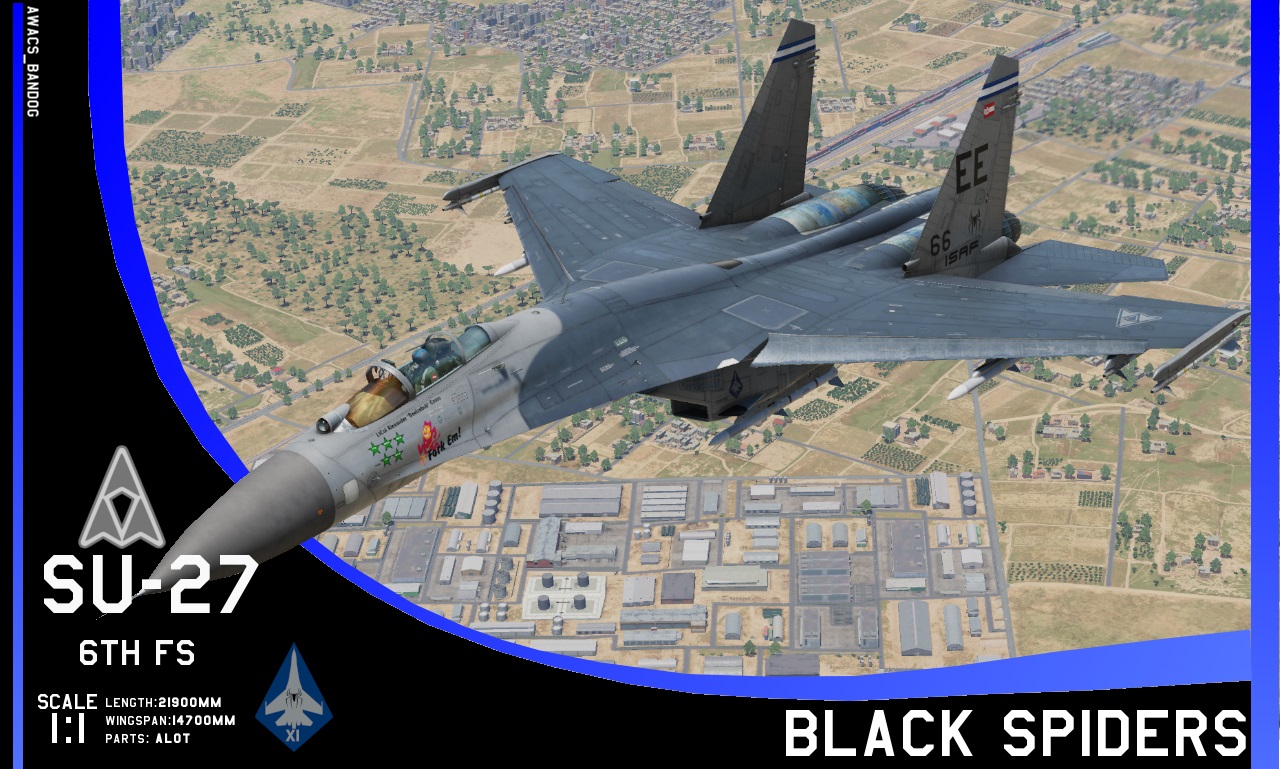 Ace Combat - ISAF 6th Fighter Squadron "Black Spiders" [OUTDATED]