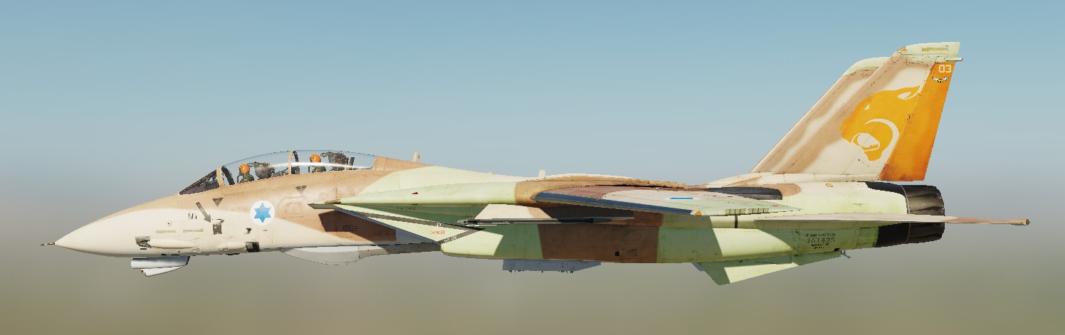 IAF - 107th The Knights of the Orange Tail