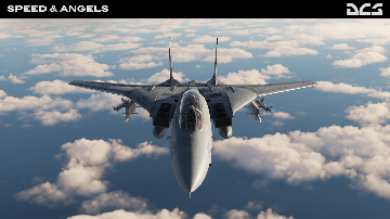 dcs-world-flight-simulator-21-f-14-speed-and-angels-campaign