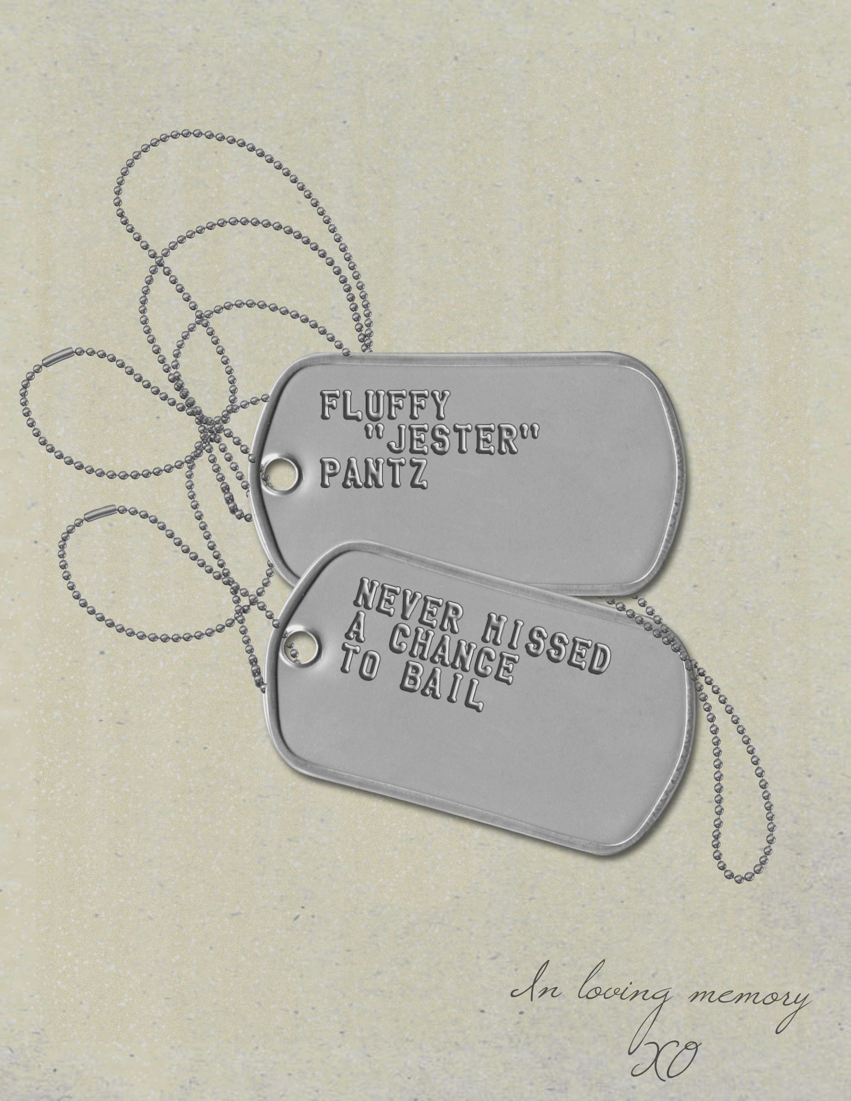 Jester Dogtags. Hold on to these when Jester bails