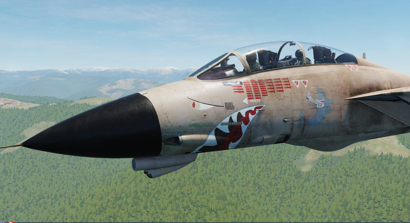 Fictional RAF F-14 Tornado GR1 'Mig Eater'