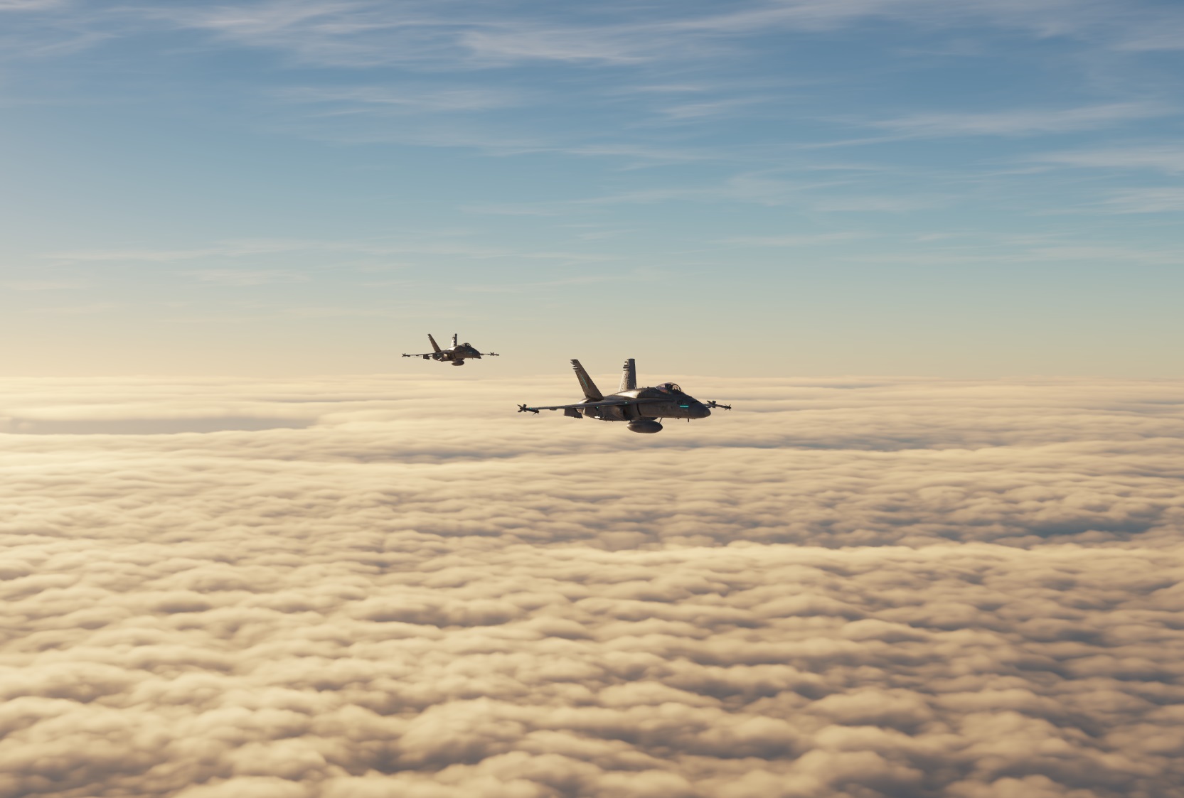 Anti-Chemical Strike / Super Carrier / F/A-18C [SP/COOP4] [ENG] 