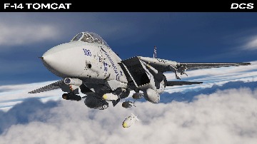 F-14 Tomcat