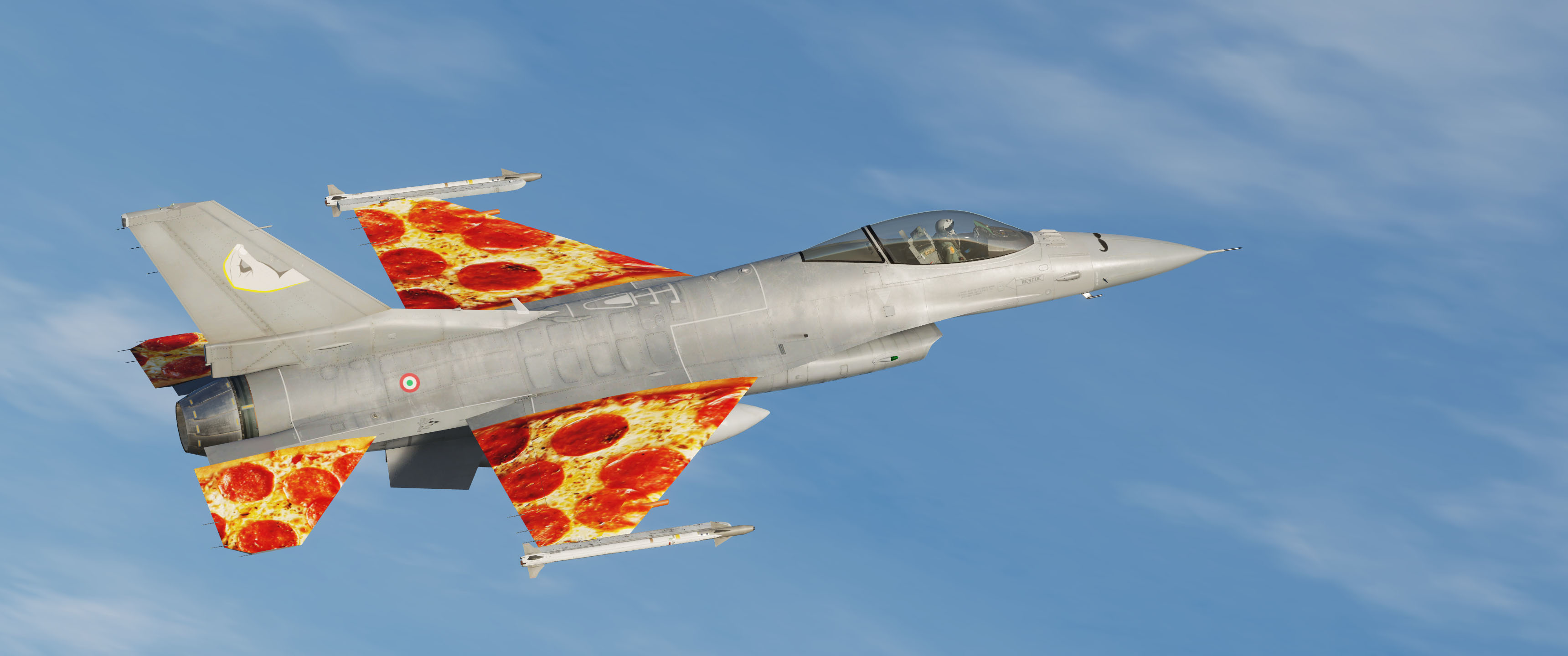 Italian Air Force F16P - Viperroni - Pizza sqn
