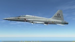 Hellenic Air Force F-5 skin