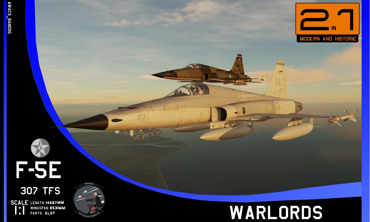 Ace Combat - 307th Tactical Fighter Squadron 'Warlords'