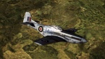 Bare Metal RAF P-51 Skin