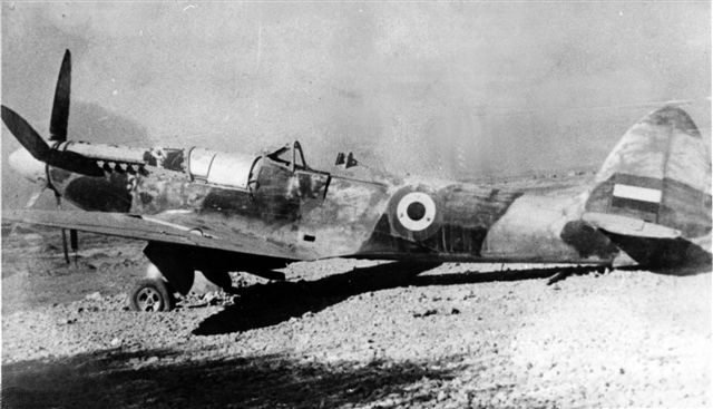 Syrian old spitfire