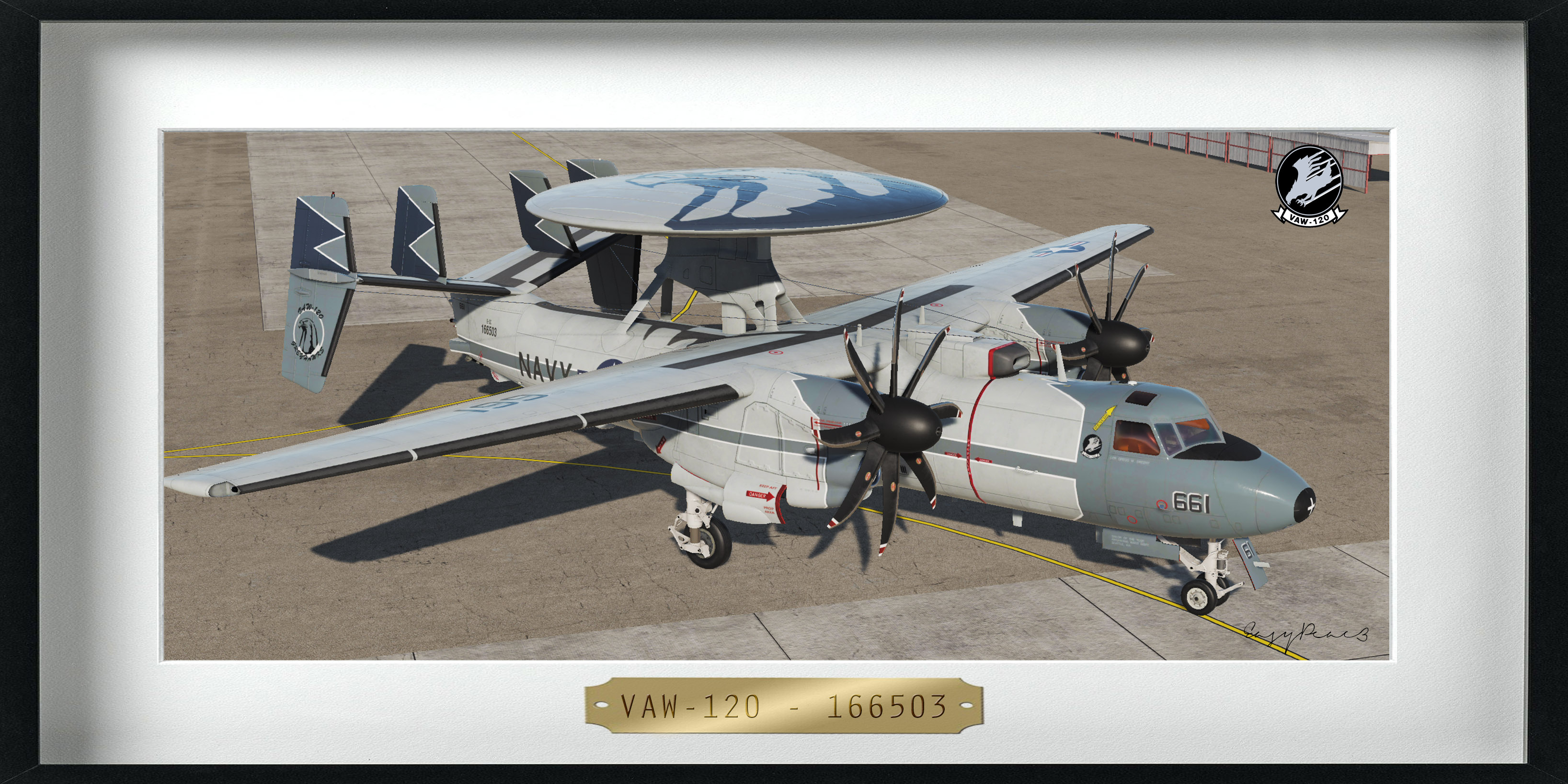 VAW-120 - "Greyhawks" - 166503 (4K)