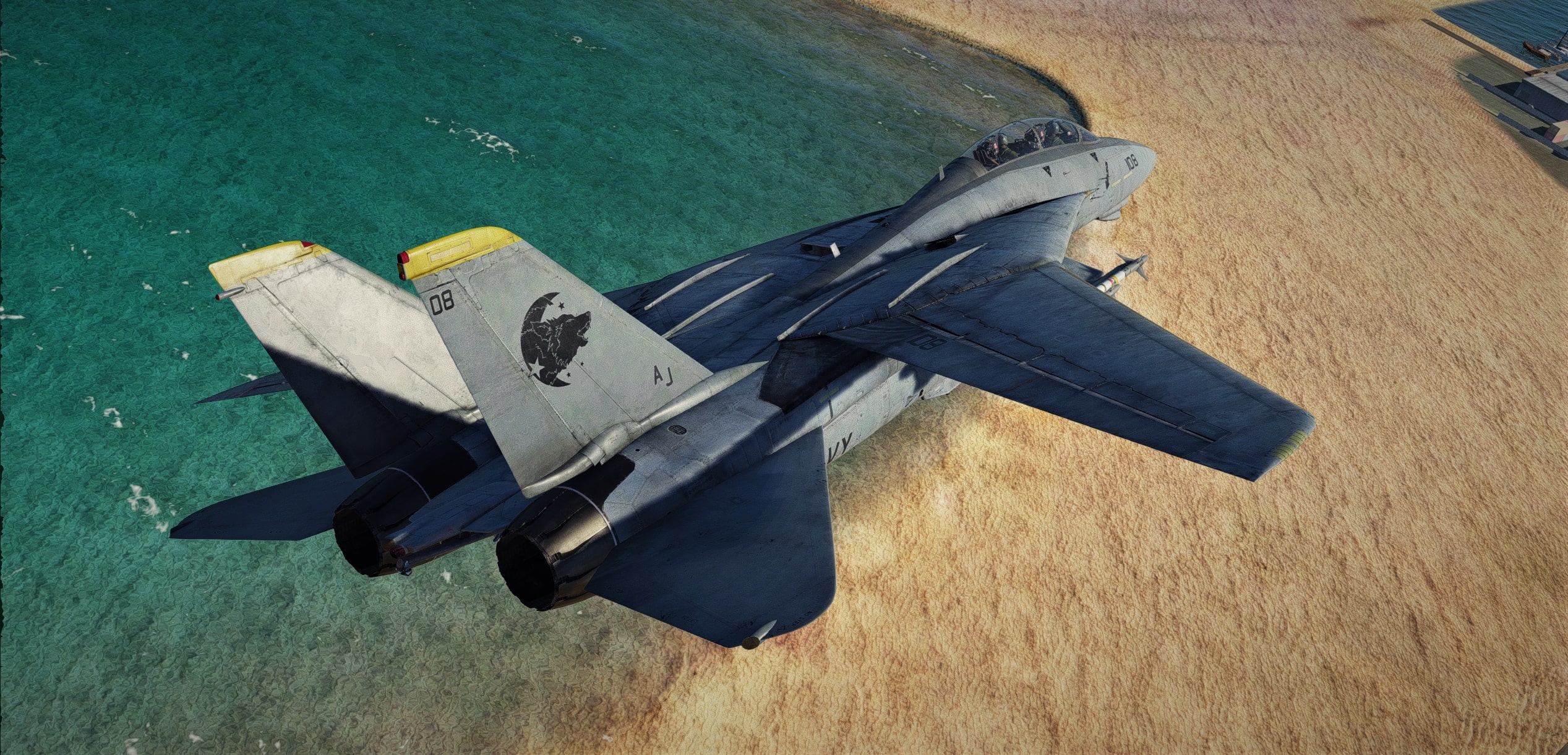 F-14B - Ace Combat Assault Horizon Warwolf